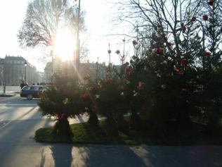 decoration01.JPG